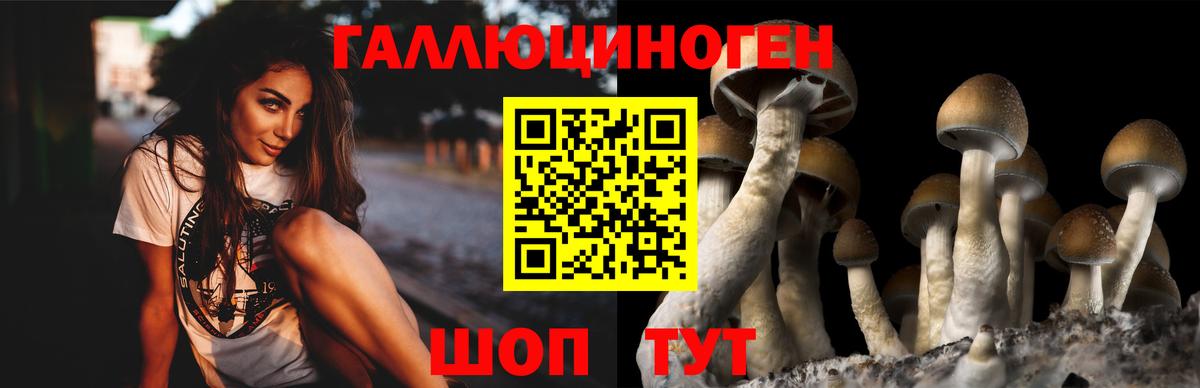 Большой Камень  Галлюциногенные грибы ЛСД  Галлюциногенные грибы GOLDEN TEACHER  Вход с VPN 